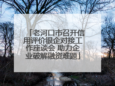 老河口市召开信用评价银企对接工作座谈会 助力企业破解融资难题