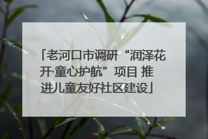 老河口市调研“润泽花开·童心护航”项目 推进儿童友好社区建设