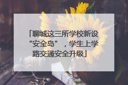 聊城这三所学校新设“安全岛”，学生上学路交通安全升级