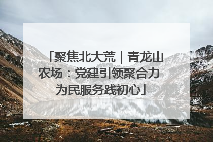 聚焦北大荒｜青龙山农场：党建引领聚合力 为民服务践初心