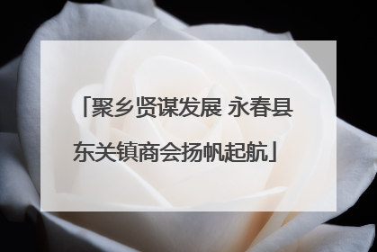 聚乡贤谋发展 永春县东关镇商会扬帆起航