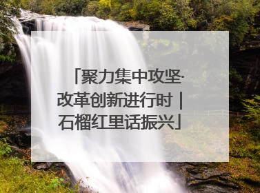 聚力集中攻坚·改革创新进行时｜石榴红里话振兴