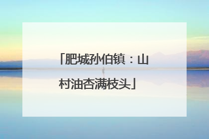 肥城孙伯镇：山村油杏满枝头