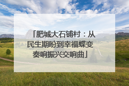 肥城大石铺村：从民生期盼到幸福蝶变奏响振兴交响曲