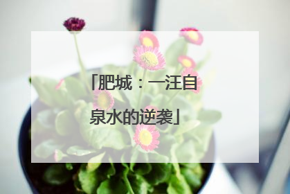肥城：一汪自泉水的逆袭