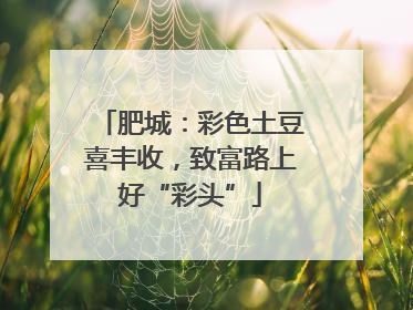 肥城：彩色土豆喜丰收，致富路上好“彩头”