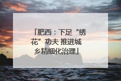 肥西：下足“绣花”功夫 推进城乡精细化治理