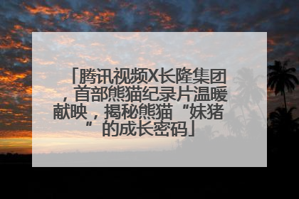 腾讯视频X长隆集团，首部熊猫纪录片温暖献映，揭秘熊猫“妹猪”的成长密码