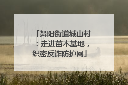 舞阳街道城山村：走进苗木基地，织密反诈防护网