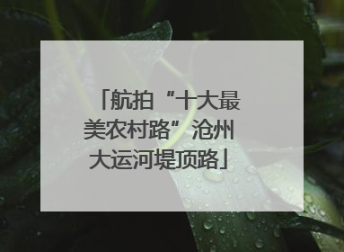航拍“十大最美农村路”沧州大运河堤顶路