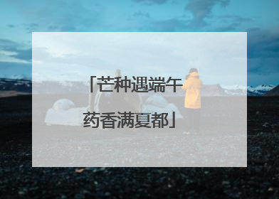 芒种遇端午 药香满夏都