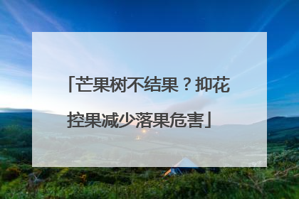 芒果树不结果？抑花控果减少落果危害