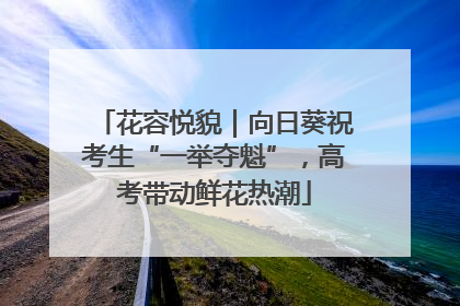 花容悦貌｜向日葵祝考生“一举夺魁”，高考带动鲜花热潮