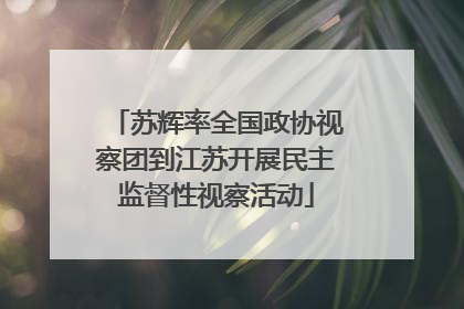 苏辉率全国政协视察团到江苏开展民主监督性视察活动