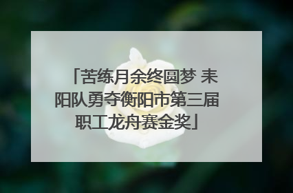 苦练月余终圆梦 耒阳队勇夺衡阳市第三届职工龙舟赛金奖