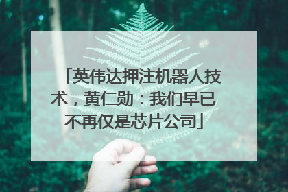 英伟达押注机器人技术，黄仁勋：我们早已不再仅是芯片公司