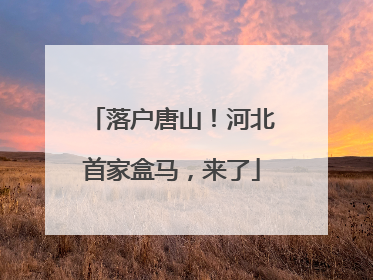 落户唐山！河北首家盒马，来了