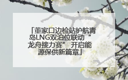 董家口边检站护航青岛LNG双泊位联动“龙舟接力赛” 开启能源保供新篇章