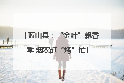 蓝山县：“金叶”飘香季 烟农赶“烤”忙