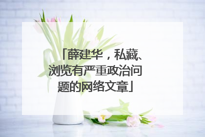 薛建华，私藏、浏览有严重政治问题的网络文章