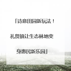 诗意田园新玩法！礼贤镇让生态林地变身惠民新乐园