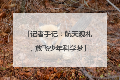 记者手记：航天观礼，放飞少年科学梦