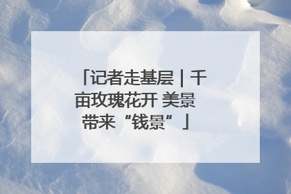 记者走基层｜千亩玫瑰花开 美景带来“钱景”