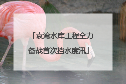 袁湾水库工程全力备战首次挡水度汛