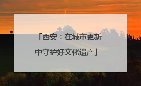 西安：在城市更新中守护好文化遗产
