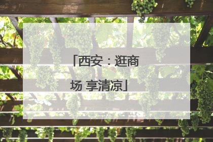 西安：逛商场 享清凉