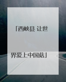 西峡县 让世界爱上中国菇