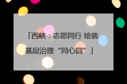 西峡：志愿同行 绘就基层治理“同心圆”