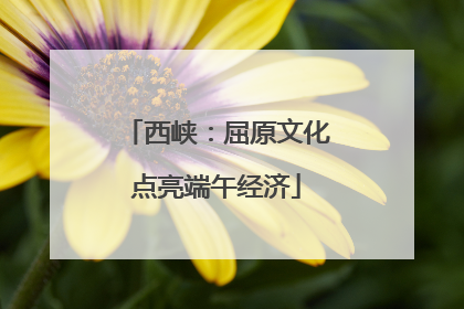 西峡：屈原文化点亮端午经济