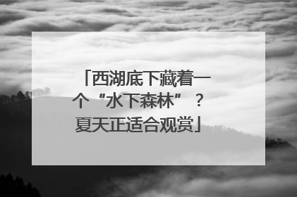 西湖底下藏着一个“水下森林”？夏天正适合观赏