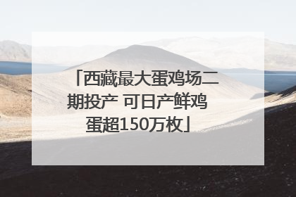 西藏最大蛋鸡场二期投产 可日产鲜鸡蛋超150万枚