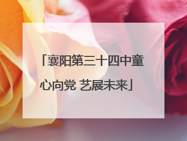 襄阳第三十四中童心向党 艺展未来