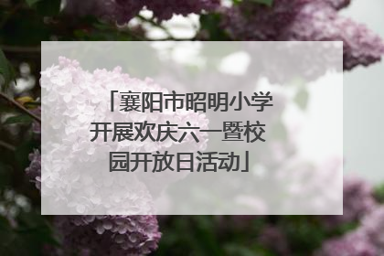 襄阳市昭明小学开展欢庆六一暨校园开放日活动