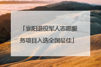 襄阳退役军人志愿服务项目入选全国最佳