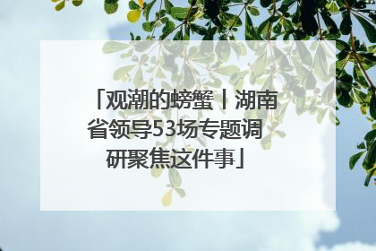 观潮的螃蟹丨湖南省领导53场专题调研聚焦这件事