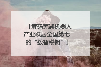 解码芜湖机器人产业跃居全国第七的“数智税钥”