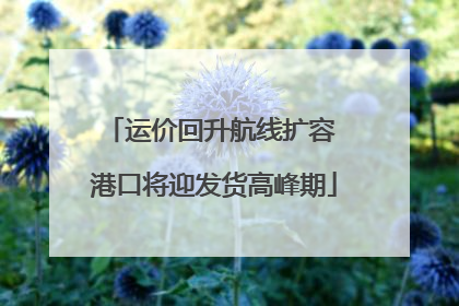 运价回升航线扩容 港口将迎发货高峰期