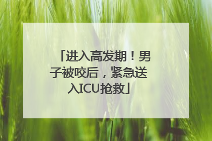 进入高发期！男子被咬后，紧急送入ICU抢救