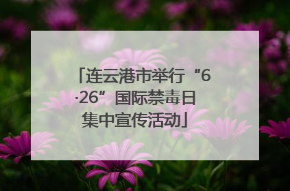 连云港市举行“6·26”国际禁毒日集中宣传活动
