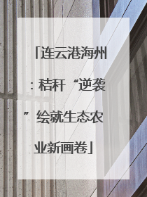 连云港海州：秸秆“逆袭”绘就生态农业新画卷