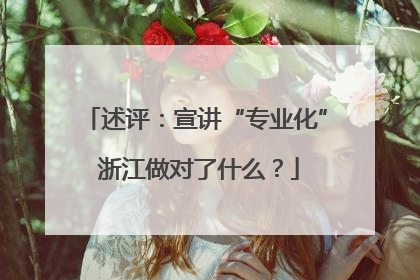 述评：宣讲“专业化” 浙江做对了什么？
