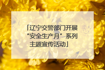 辽宁交警部门开展“安全生产月”系列主题宣传活动