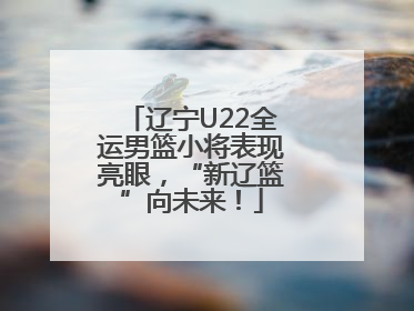 辽宁U22全运男篮小将表现亮眼，“新辽篮”向未来！