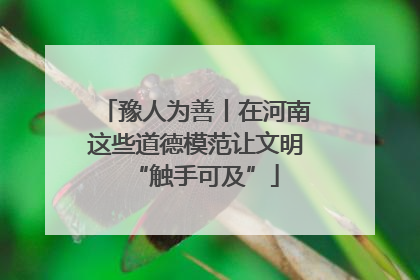 豫人为善丨在河南这些道德模范让文明“触手可及”