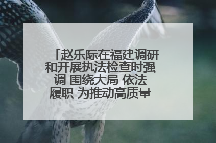 赵乐际在福建调研和开展执法检查时强调 围绕大局 依法履职 为推动高质量发展作出人大贡献