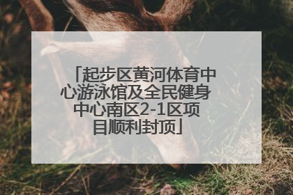 起步区黄河体育中心游泳馆及全民健身中心南区2-1区项目顺利封顶